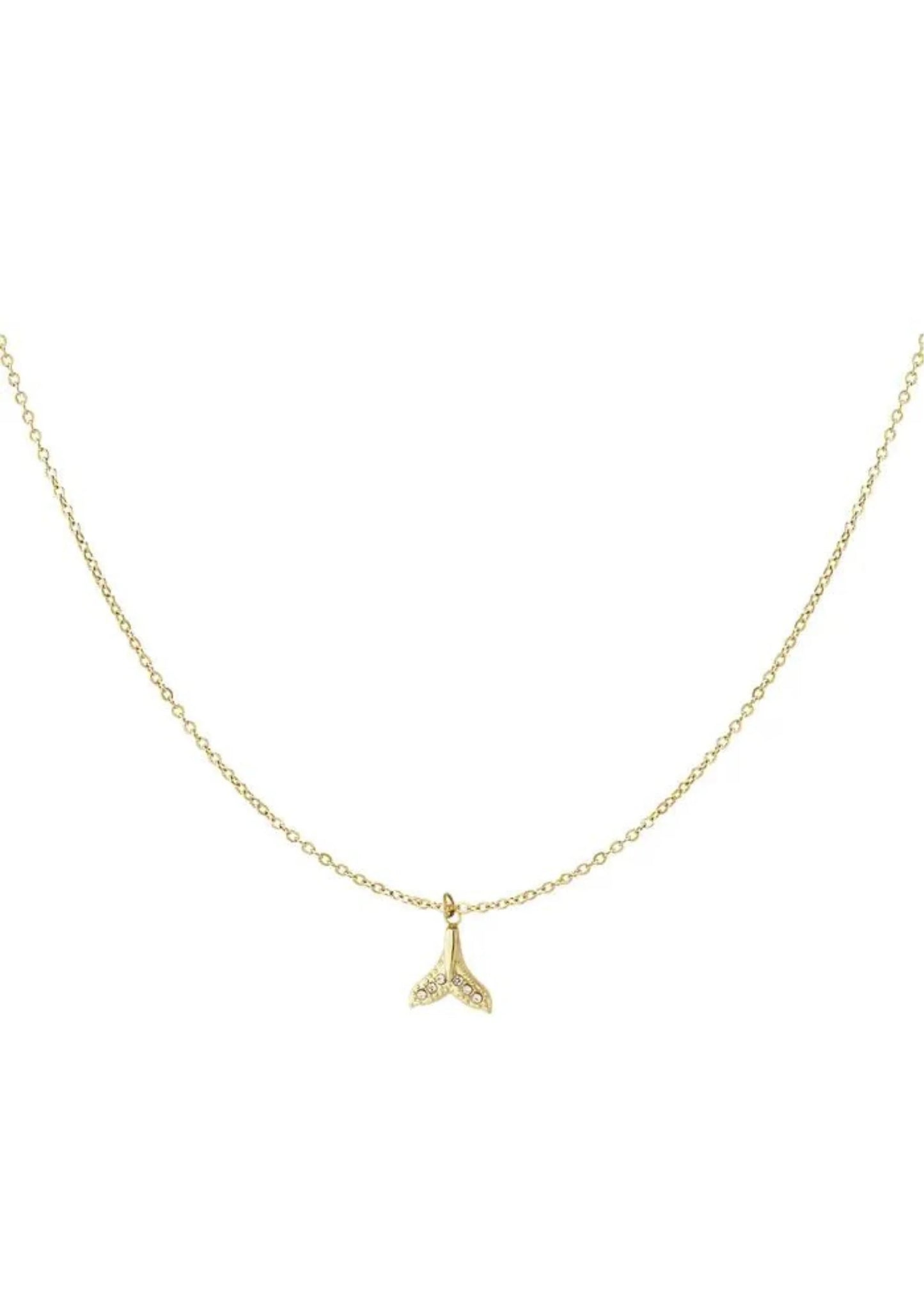 Shiny Whale Ketting